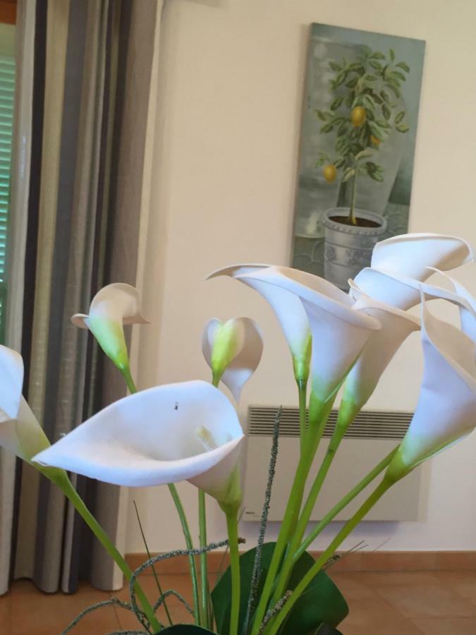 Le Bellevue- Martinon Appartement Utelle Buitenkant foto